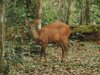 Foto: Marcelo Cavicchia